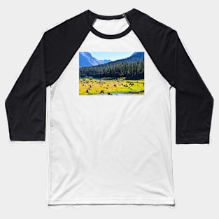 Lake Trail. Baseball T-Shirt